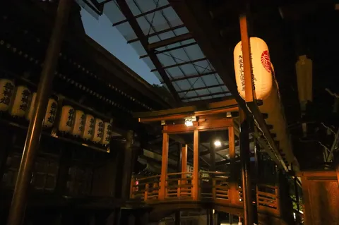 夜の灯と木の架け橋