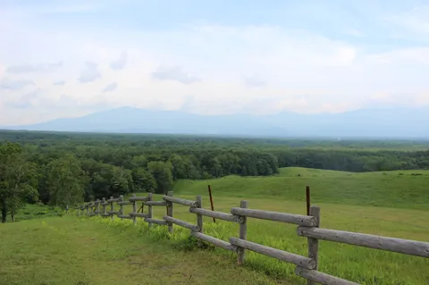 緑と空の広がる放牧地
