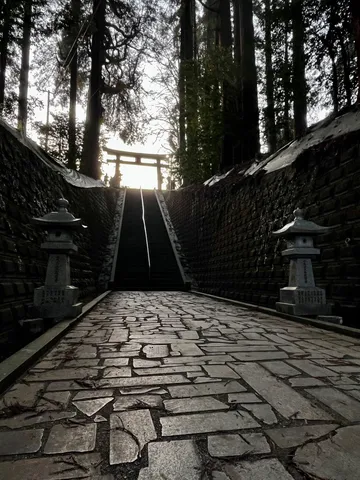 光射す参道の先へ