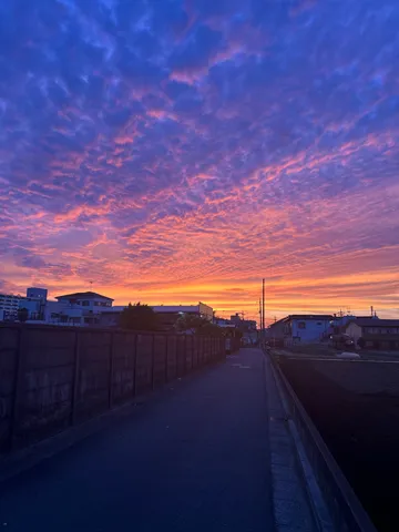 空が主役の道