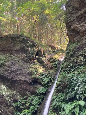 苔むす岩に落ちる小さな滝