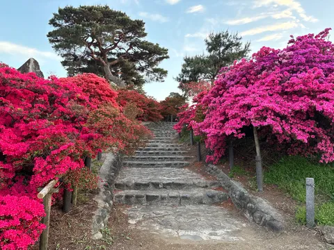新緑に包まれる石段