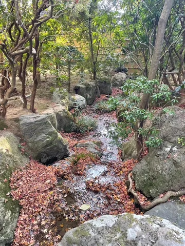 秋色に染まる渓流と岩