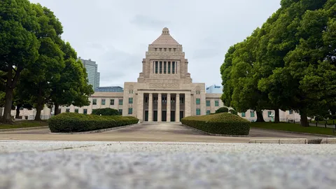 樹影の中の荘厳正門