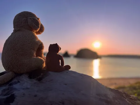 夕暮れを見つめる背中