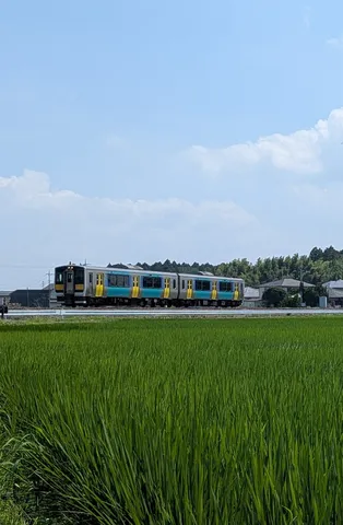 田園を駆け抜ける風と列車