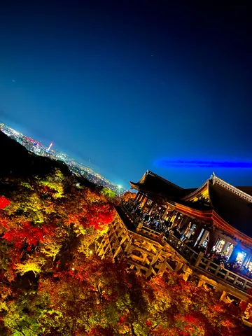 秋色と夜景が織る舞台