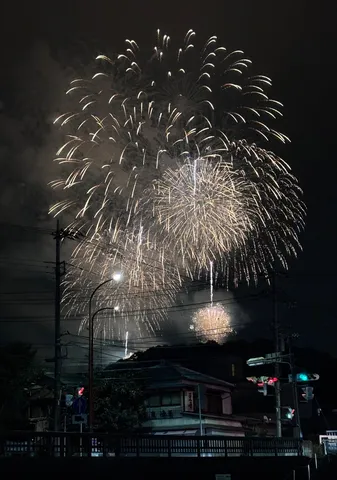 電線越しの夜空花火