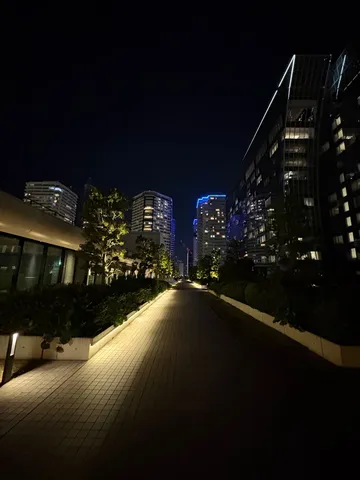 都会の夜のオアシス