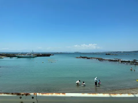 夏の潮だまりで水遊び