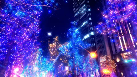 光が織りなす都会の夜