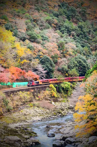 錦秋を縫うように走る列車