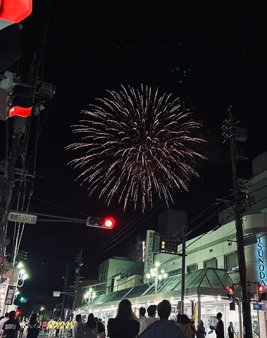 夜空に咲く大輪の花、祭りの賑わい