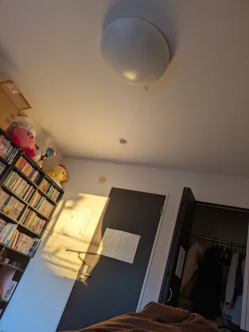 天井から吊るされた謎の物体