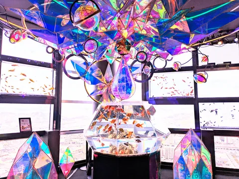 きらめく万華鏡と天空の魚たち