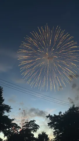 夜空に咲く光の花