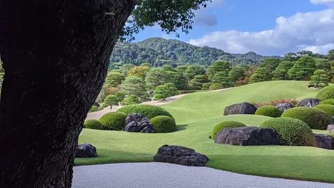 静寂を呼ぶ庭園の眺め