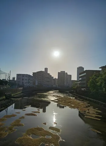都会の川面、太陽と建物のコントラスト