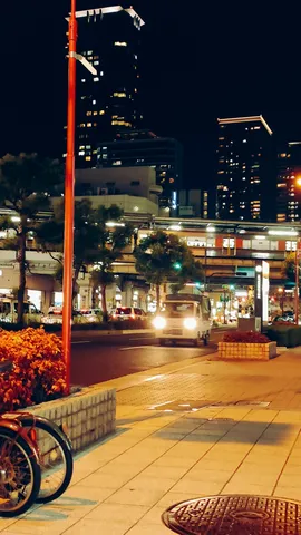 都市の夜景に息づく光