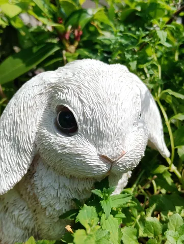 新緑に隠れる白いウサギ