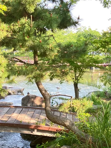 緑滴る、静寂の庭園。