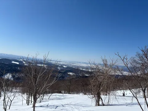 冬の森、街並み、そして空
