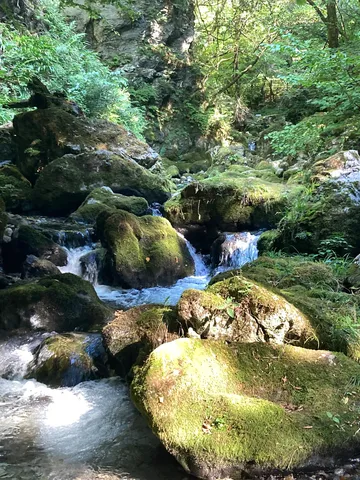 苔むす岩と清流のせせらぎ