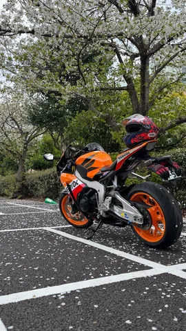 桜舞うオレンジの疾走感