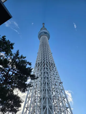 高さと空のリズム