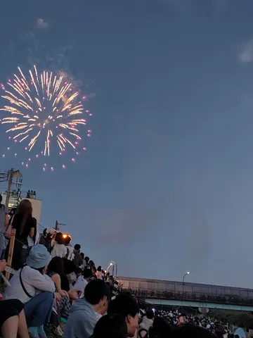 夜空に咲く大輪の花と人々の灯り