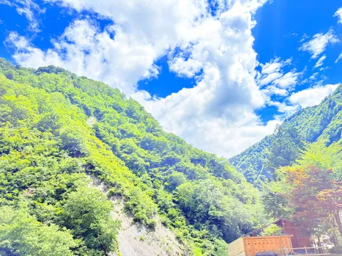 山の緑と空のコントラスト！