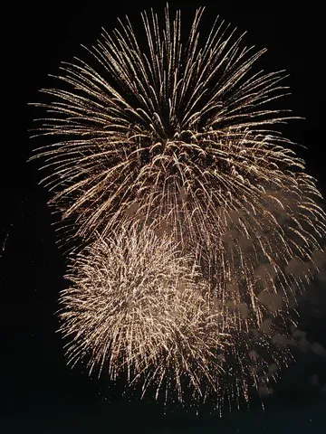 夜空を彩る黄金の花火