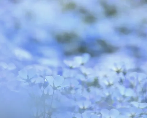 水色の優しい霞