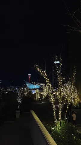 光が彩る都市の夜景