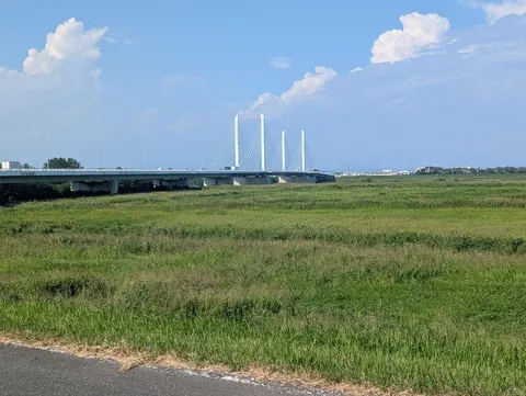 広がる緑と空、近代的な橋の対比