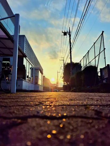 逆光の道、キラキラする日常