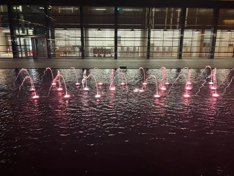 夜を彩るピンクの噴水