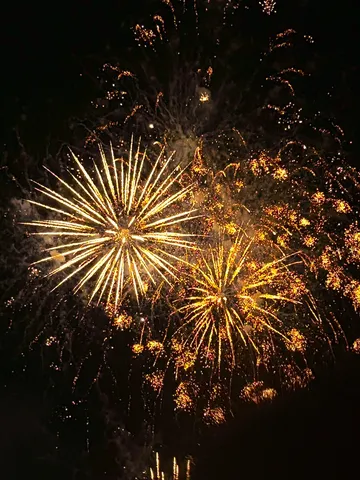 夜空を彩る光の芸術