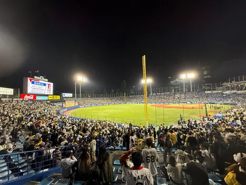 ナイター球場で揺れる一体感