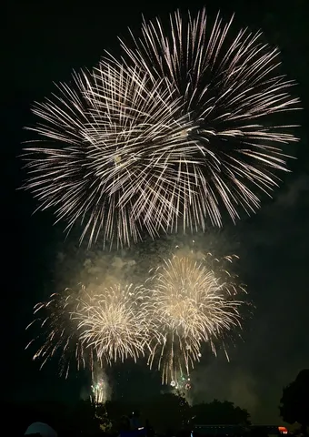 夜空に咲く光の花束
