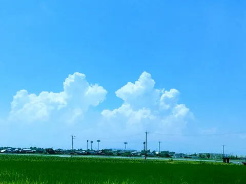 入道雲と田んぼのコントラスト