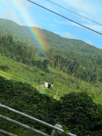 緑深き山に架かる虹の架け橋
