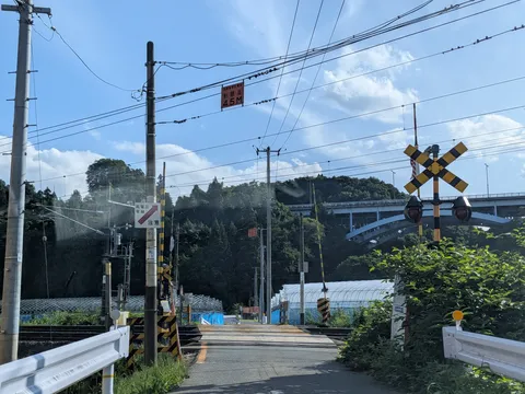電線と標識の大集合