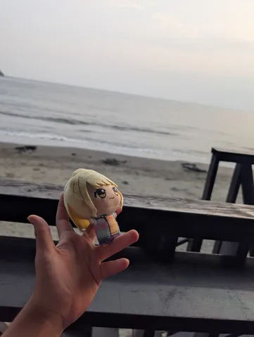 海辺の小さな友達