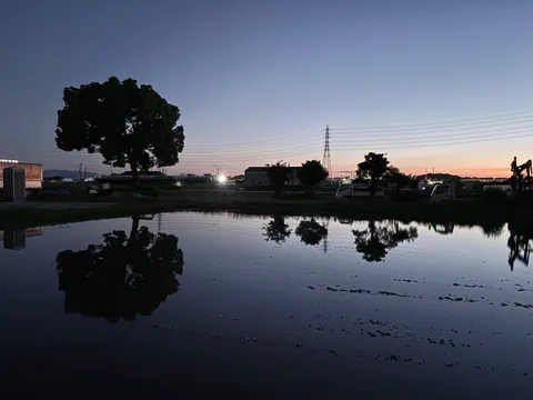 静寂の夜明け、水面に映る影