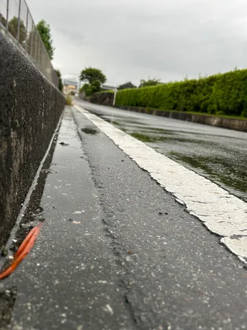 雨上がりの静かな道