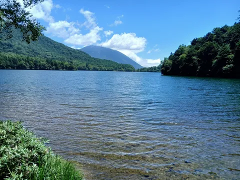 湖底見ゆる静かな水辺