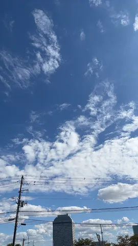 青空と薄雲の記録