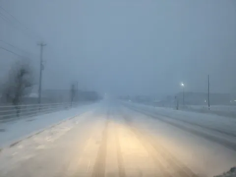 雪降る夜、光に包まれる道