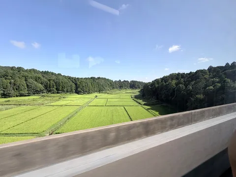 緑萌える田園風景、癒やしの車窓